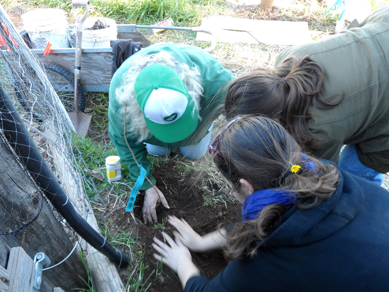 Chants16-Pic-RanchPlanters2093